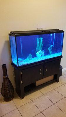 65 Gallon Freshwater Monthly Aquarium Maintenance.