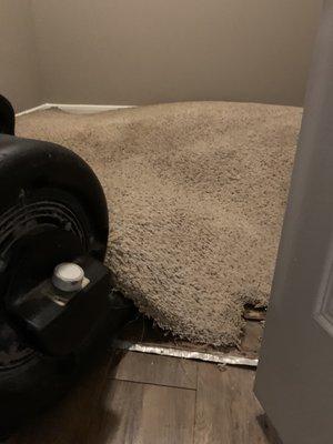 The closet carpet was wet. Maintenance had it raised up with a fan underneath it.