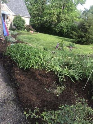 Mulch installation with new plantings.