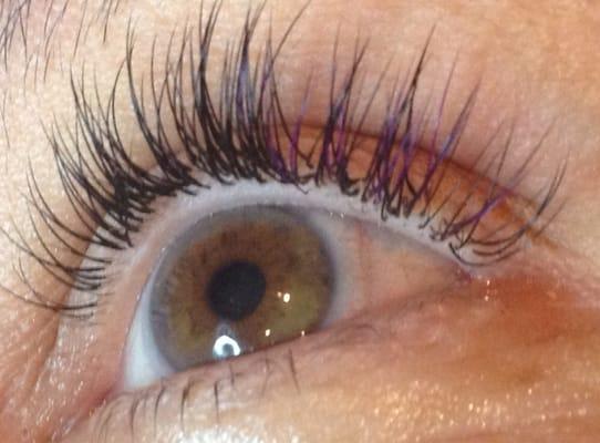 Note purple lashes near outside of eye.