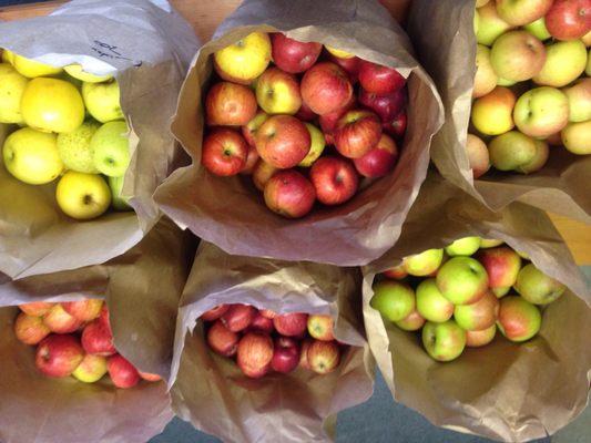 It's a fun drive in the countryside to visit Bennett's Orchard. Roll down the windows, smell the freshly cut Hay, and enjoy #Kentucky