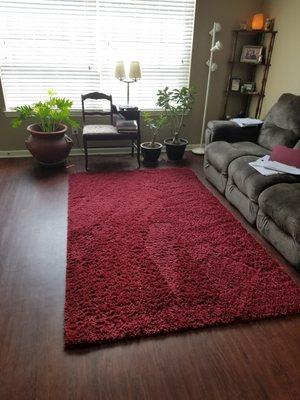 Area rug cleaning