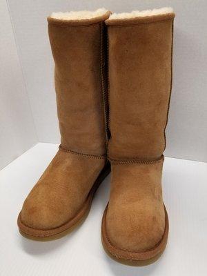 Cleaned, Deodorize, Stain & Waterproof Ugg Boots.