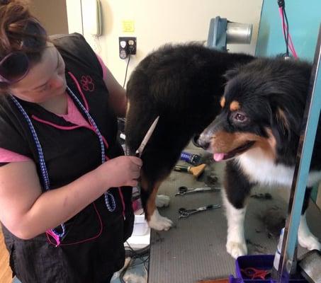 Pictured here is our dog groomer, Katie