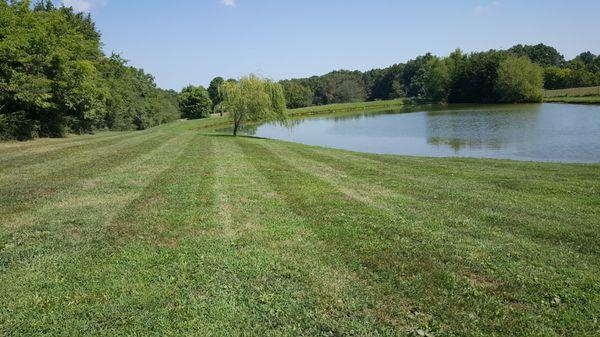 Lawn Stripes