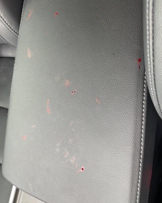 Blood on my car from my dog nail when I noticed he was bleeding