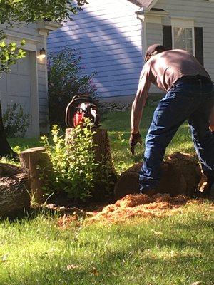 Log cutting