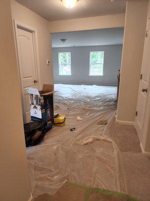 Entrance and living room before