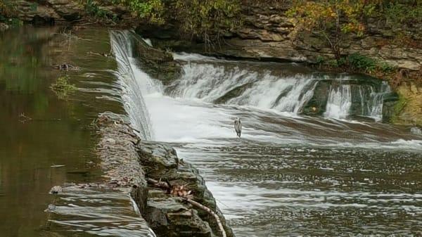 Learn to go with the flow at healing hands massage.