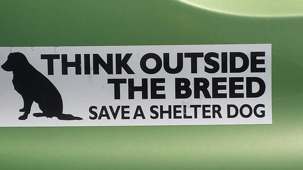 Save a Pit Bull!!! Love this sticker.