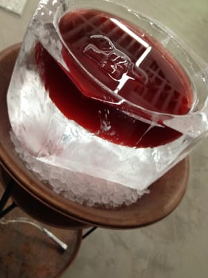 Ice Punch Bowl Provided By Just Ice