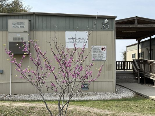 Frank L. Madla Early College High School