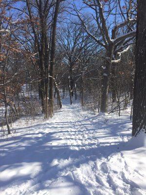 Pathway around the pond