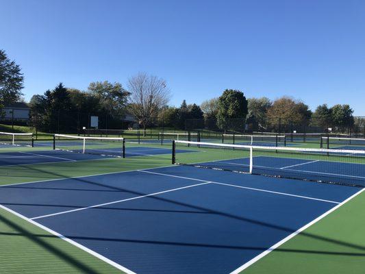 Deerpath Park Pickleball Courts