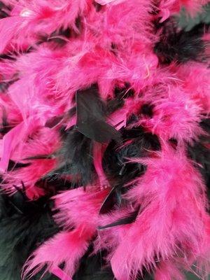 Feather boa for 99cents