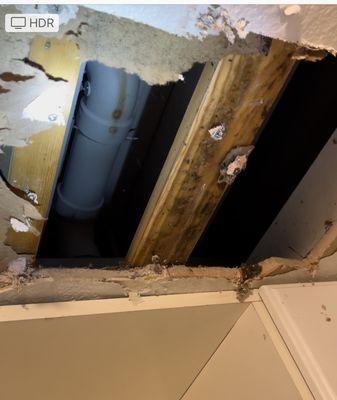 Bathroom sewage leaking into kitchen sink due to neglect of plumbing issues