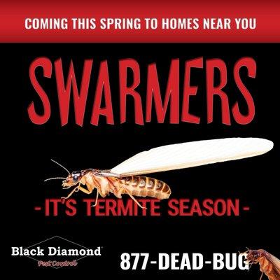 Black Diamond Pest Control - Lexington, KY