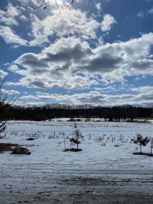 Beautiful. Property fun place to walk my dog off leash