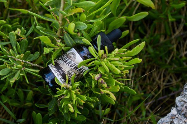 Exotic taste of Jackfruit paired with season ripe honeydew and hand selected tree fruit balanced out with a refreshing citrus finish