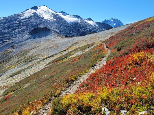 Hannegan Pas Trail to Root Glacier. Trailhead is close to the lodge