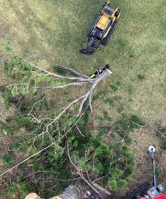 Treeco Jacksonville FL | Tree Trimming