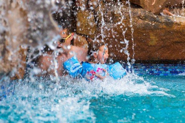 Custom Pool built by Polar Bear Pools and Patios!