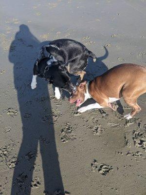 Wrestling in the sun