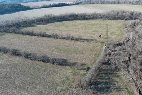 Aerial view of farmland that is for sale.