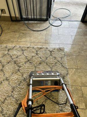 Area rug rotory scrubbing