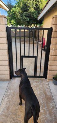 After. Side gate with doggy door and combo lock on both sides.