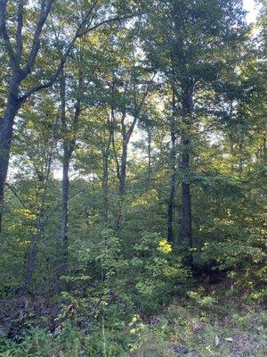 Property Purchased next to Smoky Mountain National Park