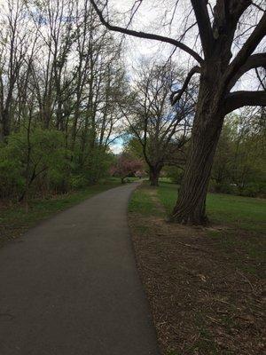 Beautiful walk along a sweet pond!