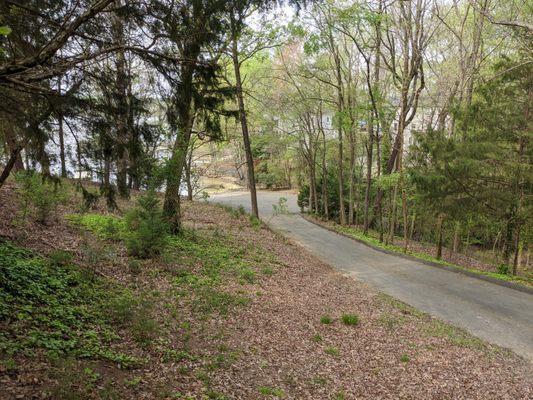 Walk down to the lake at Pitcairn Park, Tega Cay