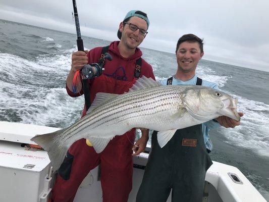 Big Striper