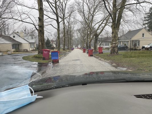 This is what "if it service its us" looks like.  Every recycle can left in the street