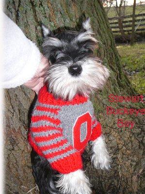 Stu the Ohio State Buckeye fan.