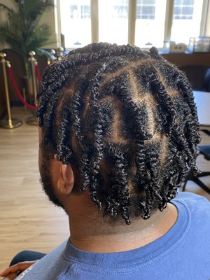 Two Strand Twist