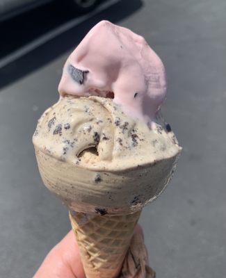 Maine Black Bear and Coffee Oreo small cone