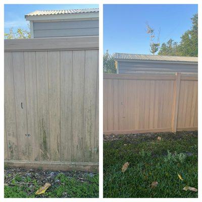 Before and after views of vinyl fence soft wash.