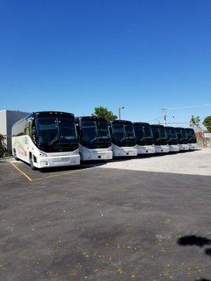 Fleet of nine refreshed bus motor coaches