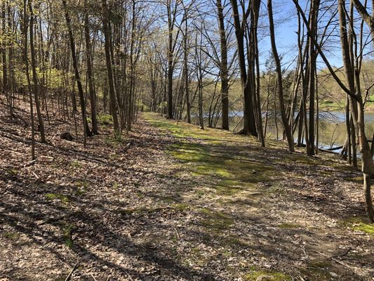 Nature path around the lake