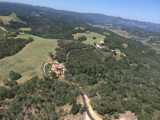 We got the full tour of which wineries were what, vines, varietals and tons of info on the land.