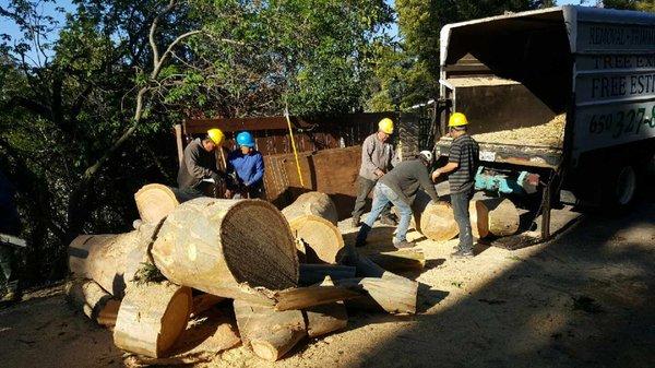 Loading Wood..