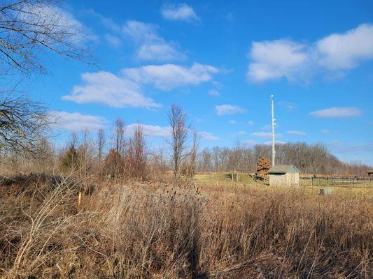 Area around the dog park and near the trail