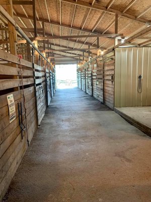 C Horse Stables