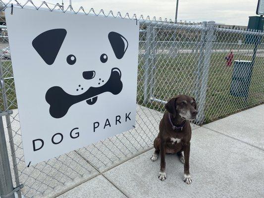 Dog park on East side.