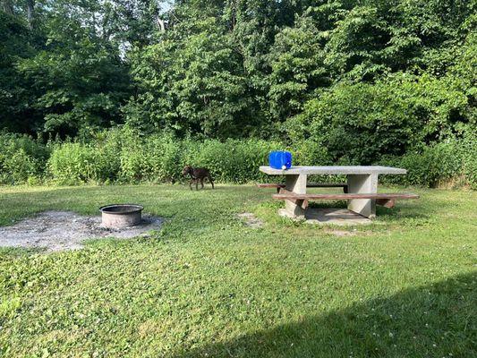 Campsite amenities minus dog and water tank.