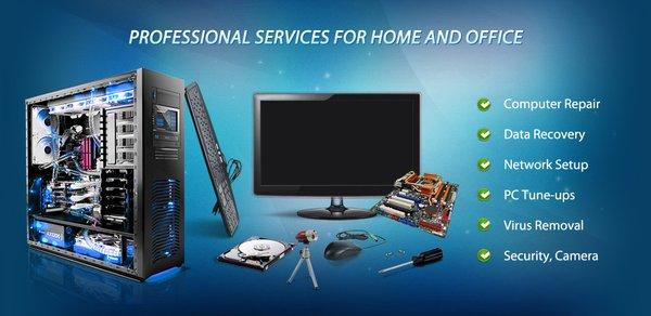 Professional  services for home and Office