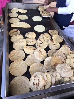 Corn tortillas