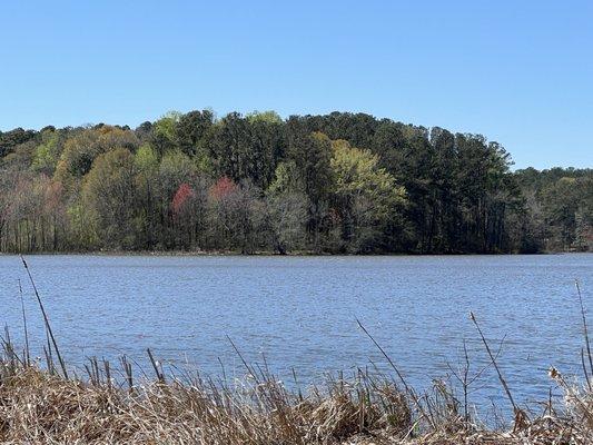 view across the lake